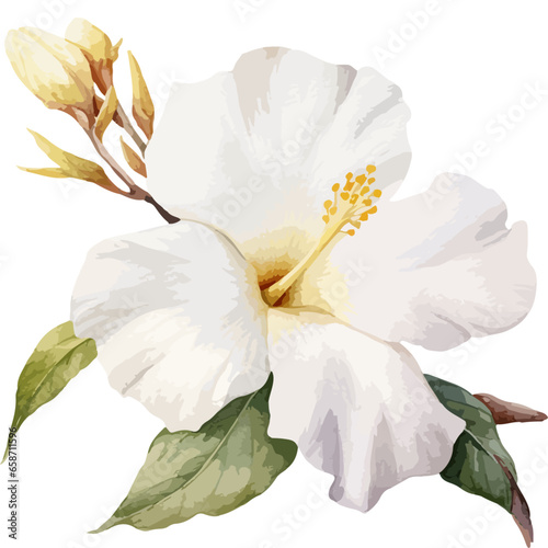 Flower Watercolor element on white background