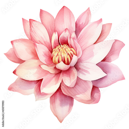 Flower Watercolor element on white background