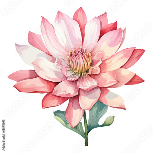 Flower Watercolor element on white background