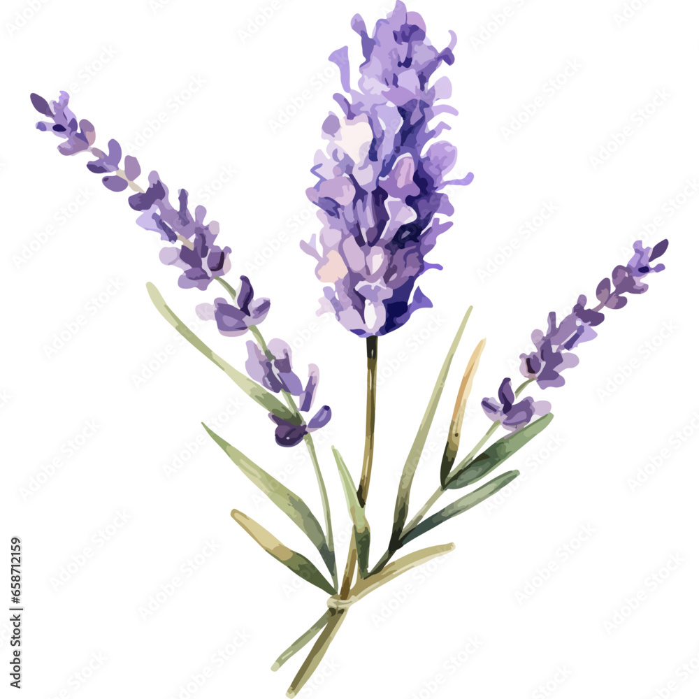 Flower Watercolor element on white background