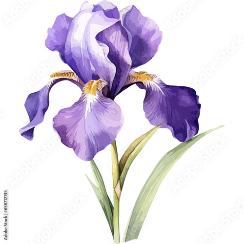 Flower Watercolor element on white background
