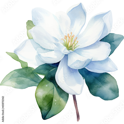 Flower Watercolor element on white background