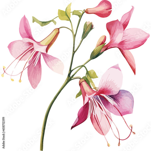 Flower Watercolor element on white background