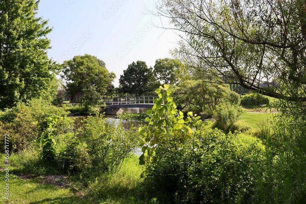 The wood bridge in the park on a sunny day.