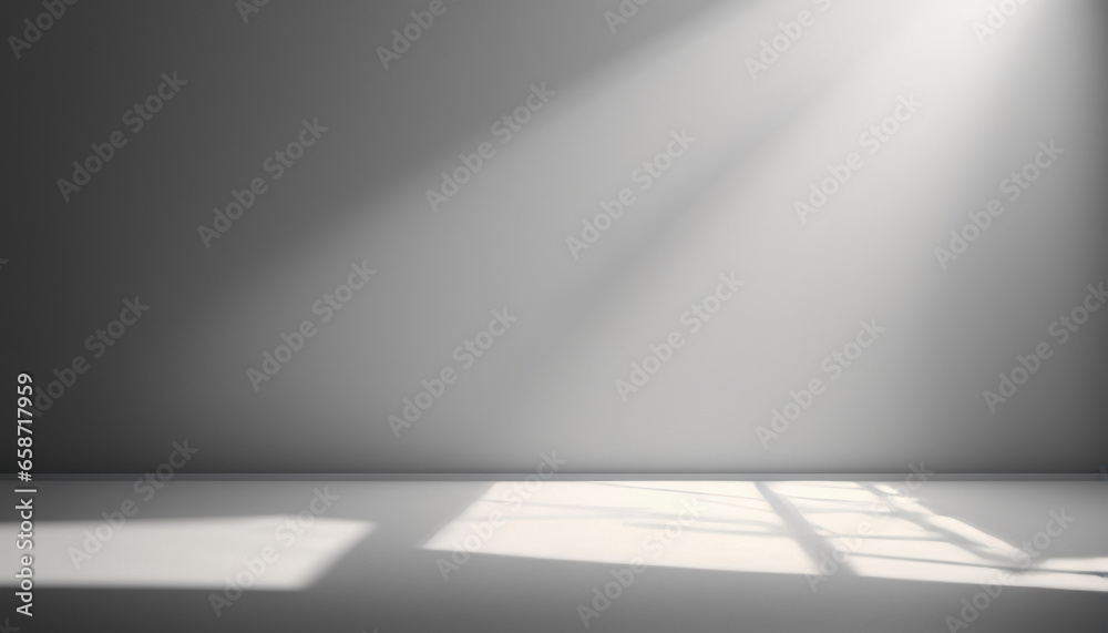 Light Gray Tones with Light and Shadow Light Gray Tones with Light and Shadow