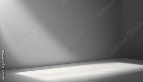 Original Light Gray Background for Design