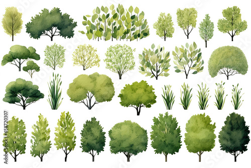 Fotografia Various green trees, bushes and shrubs, top view for landscape design plan