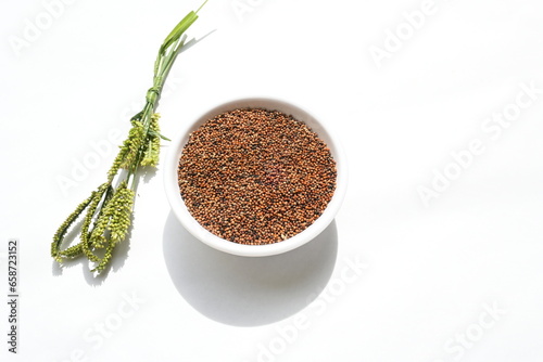 Eleusine coracana or finger millet. It is called Ragi and madua in India and Kodo in Nepal. It  is an annual herbaceous plant. Its widely grown as a cereal crop in the in Africa and Asia. photo
