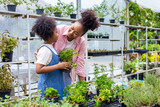 African mother and daughter is choosing vegetable and herb plant from the local garden center nursery with shopping cart full of summer plant for weekend gardening and outdoor