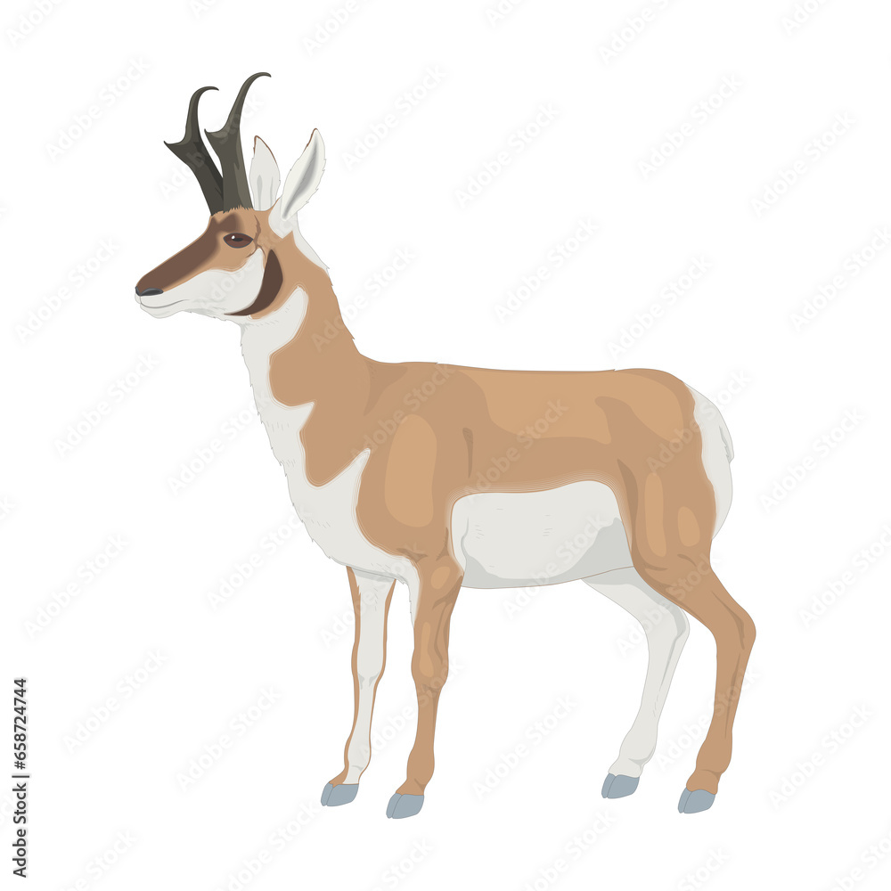 Obraz premium deer silhouette isolated
