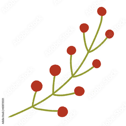 branch of a red cherry