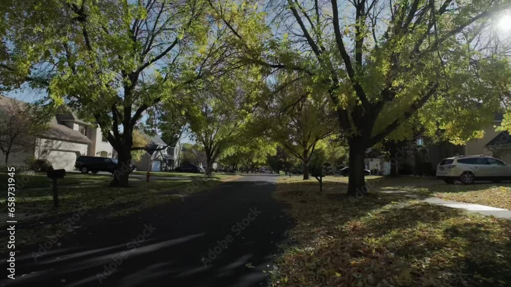 Tree with bright yellow and red leaves sways with wind and sunlight through foliage at suburb street in autumn time. Move camera Tree with bright yellow and red leaves sways with wind and sunlight through foliage at suburb street in autumn time. Move camera