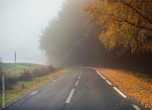 country road in the fog, autumn