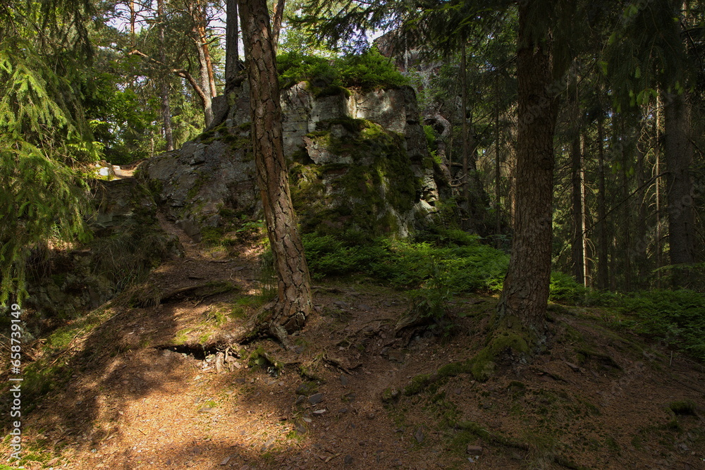 Obraz premium Rock formation at the hiking trail from Jablonne nad Orlici to Orlicky, Usti nad Orlici District, Pardubice Region, Czech Republic, Europe 