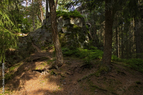 Rock formation at the hiking trail from Jablonne nad Orlici to Orlicky, Usti nad Orlici District, Pardubice Region, Czech Republic, Europe 