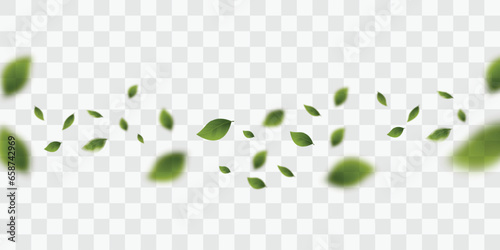 Flying green leaves. Green leaves on a transparent background. Vegan, eco, organic leaves set for design. Cosmetic pattern. Tea background. Beauty and nutrition product. Vector illustration.