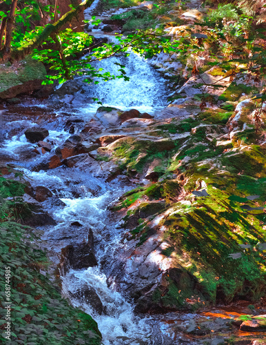 Wasserfall in den Bergen