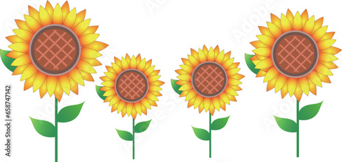 かわいいひまわりのイラスト	
