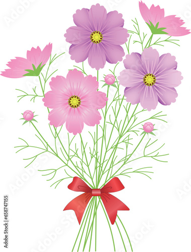 „Ç≥„Çπ„É¢„Çπ„ÅÆËä±Êùü„ÄÄ„Ç§„É©„Çπ„ÉàÁ¥†Êùê