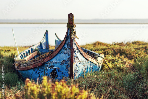 old boar near lake, rowboat