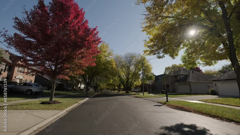 Tree with bright yellow and red leaves sways with wind and sunlight through foliage at city street in autumn day. Move camera footage Tree with bright yellow and red leaves sways with wind and sunlight through foliage at city street in autumn day. Move camera footage