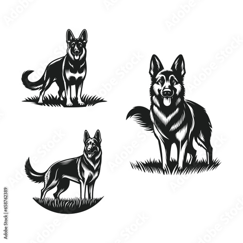 German shepherd dog black and white vector illustrations silhouette set isolated on white background