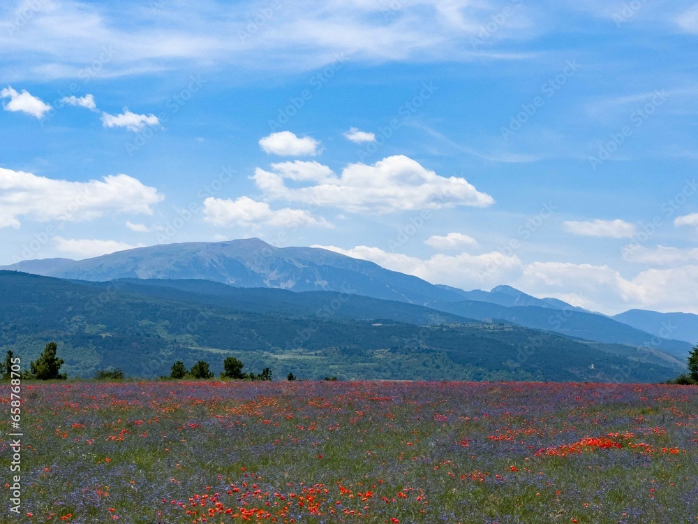 Paisaje con amapolas y montañas