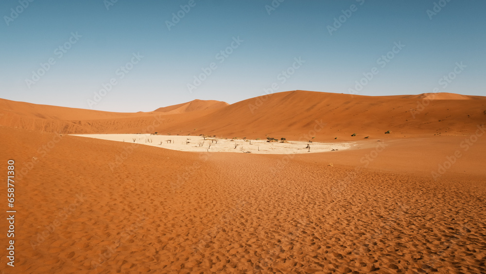 Panorama of Deadvlei in the Sousvlei area, Namib-Naukluft National Park, Namibia, A white pan featuring scorched Camelthorn Trees and surrounded by encroaching sand dunes.