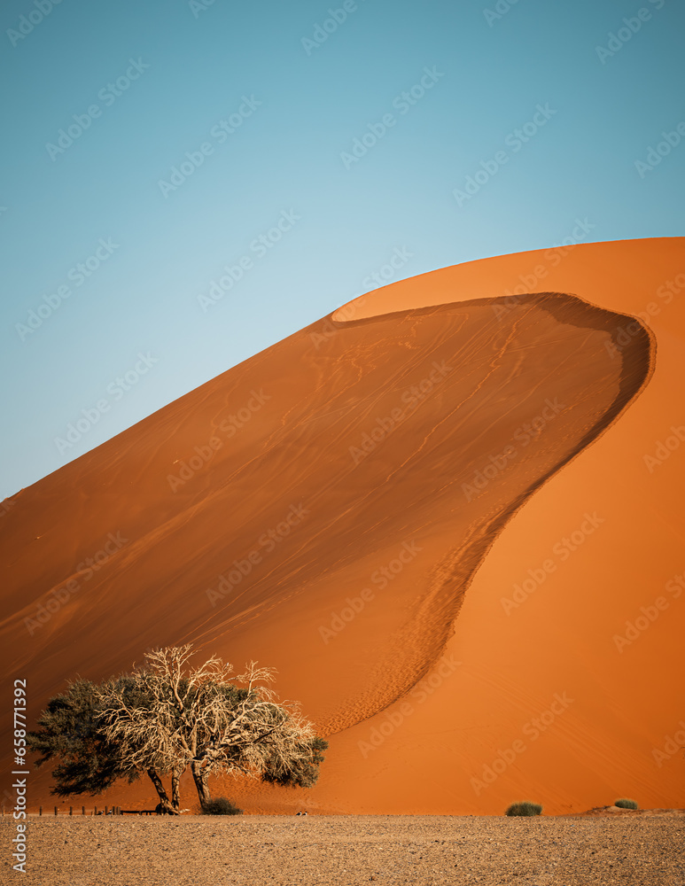 Dune 45 against clear blue sky, Sossusvlei area, Namib-Naukluft National Park, Namibia. It is named after its distance of 45 kilometers from the Sesriem gate and stands at over 170 meters tall. - obrazy, fototapety, plakaty 