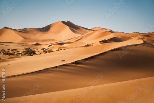 Dunes of the Namib desert in the Sossusvlei area, Namib-Naukluft National Park, Namibia. The Namib Desert is the oldest desert in the world. It also has the highest dunes, reaching 300-400 meters.
