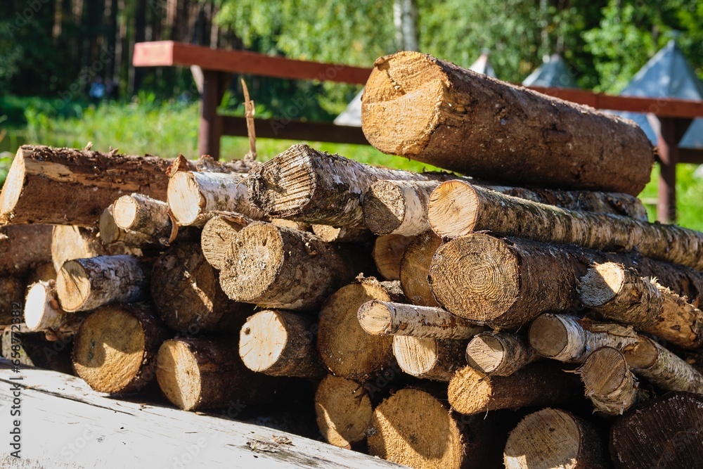 Cut tree trunks intended for fuel for fires or barbecues, stacked in an open space. Cut tree trunks intended for fuel for fires or barbecues, stacked in an open space.