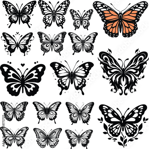 Butterfly monarch illustration vector wing summer © Design Your Story