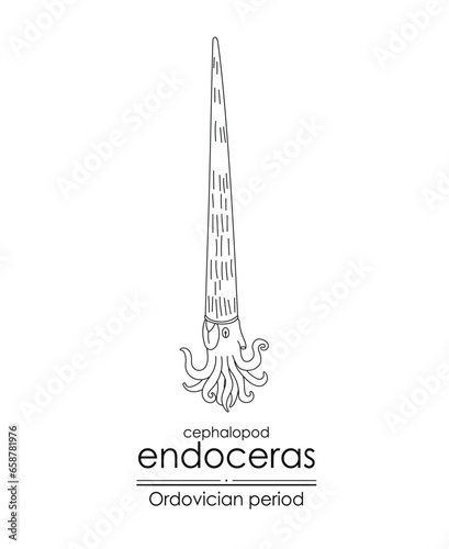 Endoceras, an Ordovician period cephalopod, is well-suited for both coloring and educational purposes in a black and white line art illustration