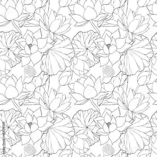 Seamless pattern with vector hand drawn lotus flowers and buds, huge leaves, black line art illustration. Outline floral drawing for packaging design, textiles, covers, scrapbooking, typography.