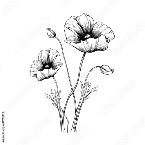 Hand Drawn Sketch Flower Illustration