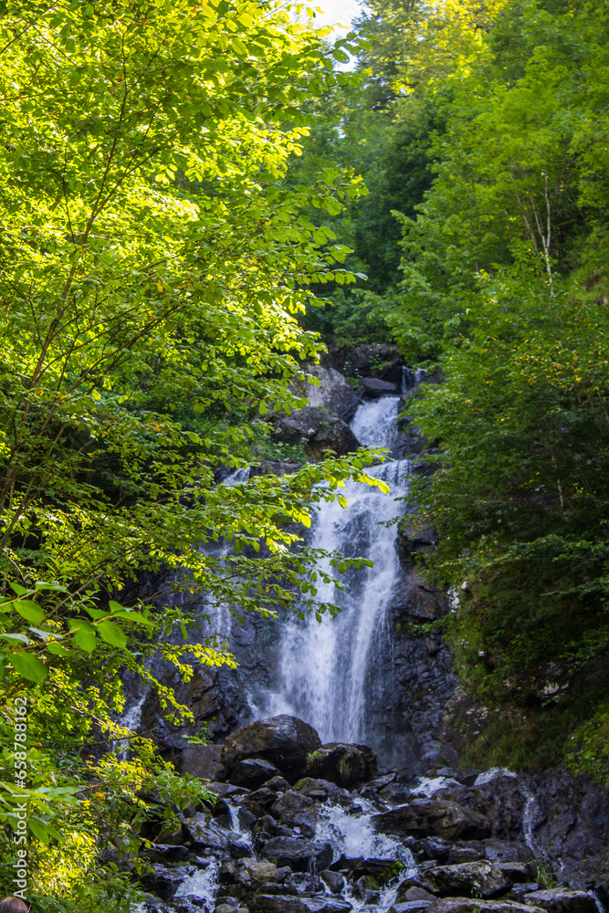 Beautiful milk waterfall among green trees on a sunny summer day in Abkhazia Beautiful milk waterfall among green trees on a sunny summer day in Abkhazia
