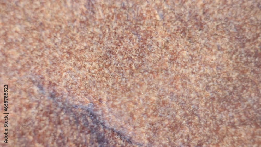 Natural stone background, close up, selective focus with shallow depth of field.
Natural stone background, close up, selective focus with shallow depth of field.