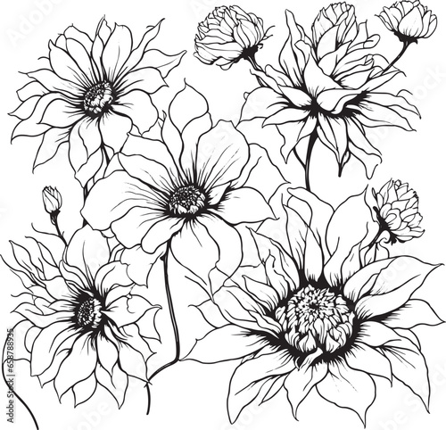 Flowers Black Outline Illustration Vector
