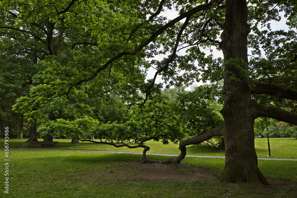 Public park in Rychnov nad Kneznou, Hradec Králové Region, Czech Republic, Europe
Public park in Rychnov nad Kneznou, Hradec Králové Region, Czech Republic, Europe