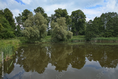 Landscape at Jinosovske rybniky at Vlasim  Czech Republic  Europe 