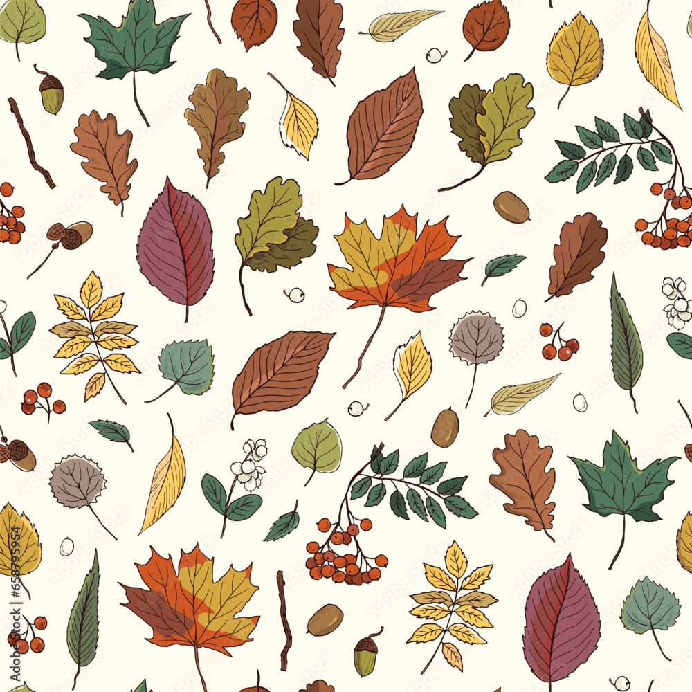 Fototapeta premium Autumn leaves vector seamless pattern.