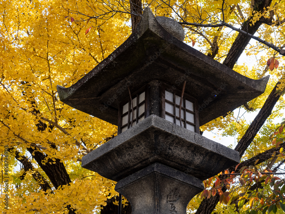 Stone lantern and yellow ginkgo tree on the grounds of Toyokuni shrine in autumn - Kyoto, Japan Stone lantern and yellow ginkgo tree on the grounds of Toyokuni shrine in autumn - Kyoto, Japan