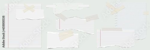 Lined whole sheet of paper and rip pieces with torn adges. Lined note. Notebook paper pieces with sticky tape stuck on gray. Blank mockup for text for presentation, advertising, website, apps. Vector