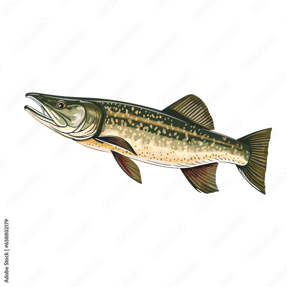 Fototapeta premium Hand Drawn Flat Color Fish Illustration