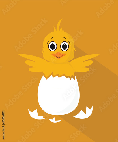 Chicken hatching stages. Newborn little cute chick, small baby bird emergence from egg, cracked shell in laying hens nest. Easter chicks concept. Funny domestic animal vector cartoon isolated concept
