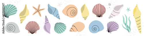 Tropical underwater shells set. Freshwater algae, corals, starfish, sea mollusks, scallop, pearls. Vector illustration.
