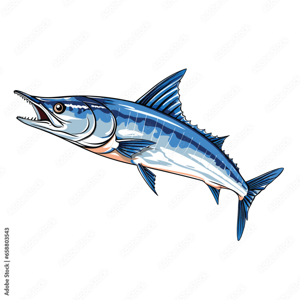 Hand Drawn Flat Color Wahoo Fish Illustration Hand Drawn Flat Color Wahoo Fish Illustration