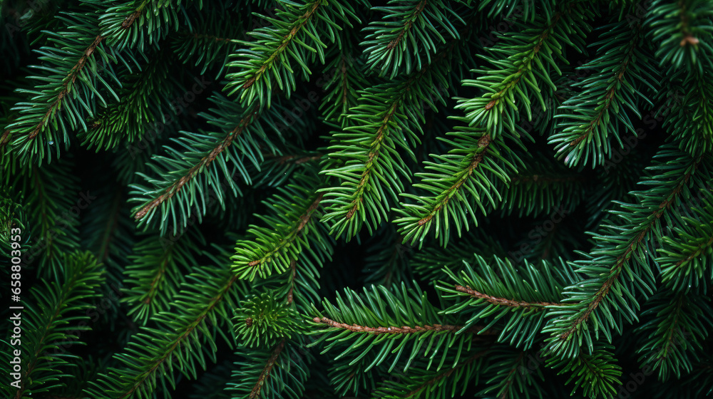A lush, close-up view of vibrant green pine needles, showcasing the detailed texture and natural pattern