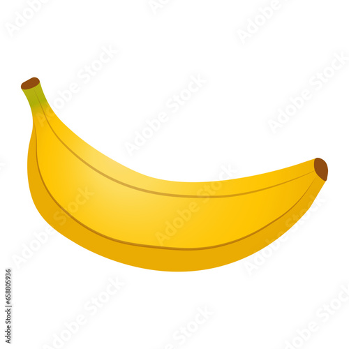 Vector banana fruit isolated on white background