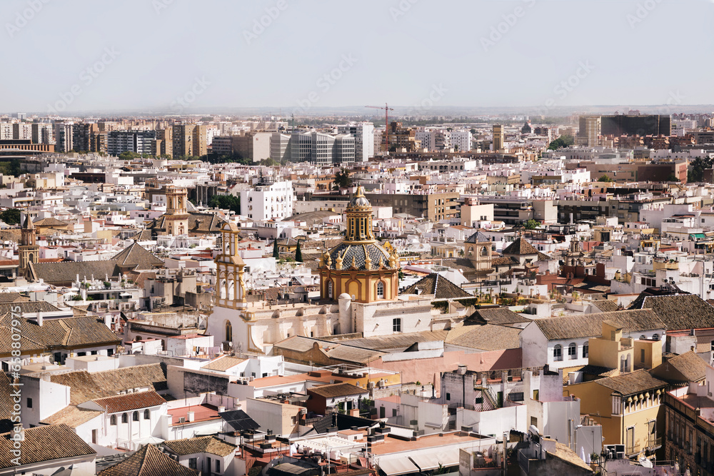 View of the city of Seville from the Giralda Tower